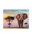 PUZZLE 500 HQC AFRICAN SUNSET